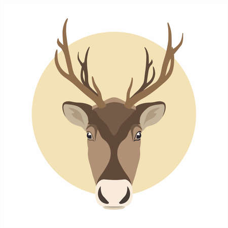 Realistic Vector of Reindeer Face. Wild Animal Portrait, Editable Illustration of Reindeer Head.のイラスト素材