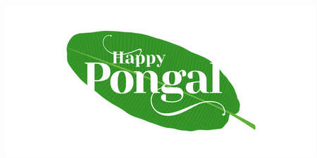 Conceptual Typography - Happy Pongal, an South Indian Festival. Editable Illustration of Banana Leaf.のイラスト素材