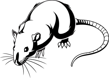 Rat Graphicのイラスト素材