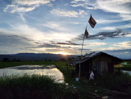 A peaceful sunset illuminates a rice field in Thailand, showcasing a quaint cottage adorned with flags. The serene atmosphere captures the beauty of rural life and nature.の写真素材