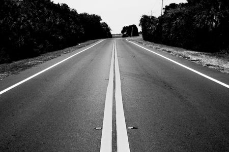 Standing in the middle of an empty highway lined with palm trees.の写真素材