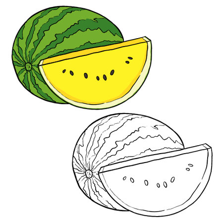 Yellow watermelon illustration. Perfect for art, postcards, cards, wall decor, t-shirts, cards, prints, drawing books, coloring books, wallpaper, prints, cards, ect.の写真素材