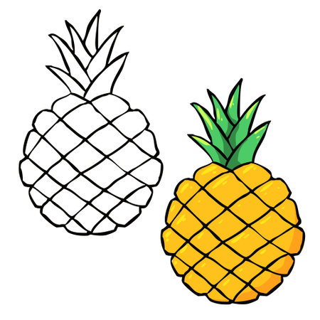 Pineapple vector illustration. Perfect for art, postcards, cards, wall decor, t-shirts, cards, prints, drawing books, coloring books, wallpaper, prints, cards, ect.の写真素材