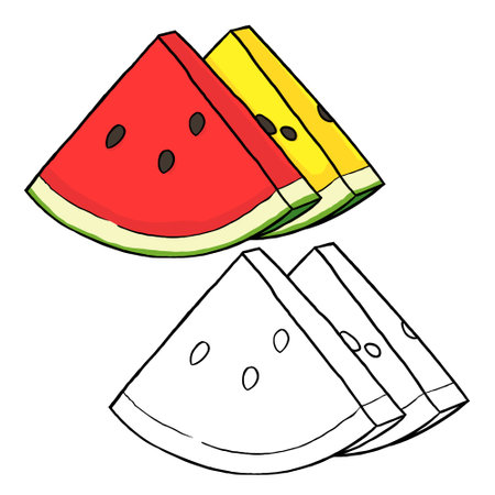 Illustration of slice red watermelon and yellow watermelon. Perfect for art, postcards, cards, wall decor, t-shirts, cards, prints, drawing books, coloring books, wallpaper, printsの写真素材