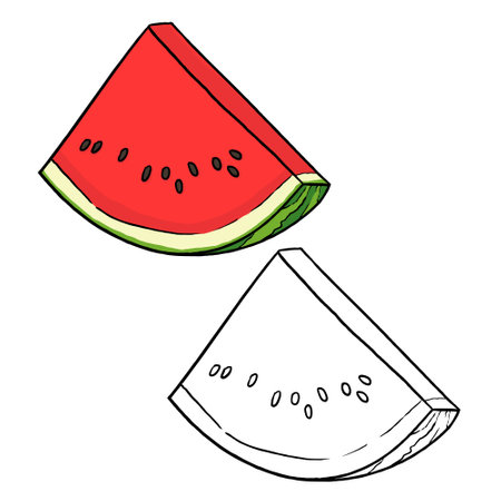 Vector red watermelon. Perfect for art, postcards, cards, wall decor, t-shirts, cards, prints, drawing books, coloring books, wallpaper, prints, cards, ect.の写真素材