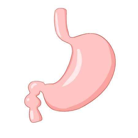 Hull vector illustrations, perfect for art, postcards, cards, wall decor, t-shirts, cards, prints, drawing books, coloring books, wallpaper, prints, cards, ect.の写真素材