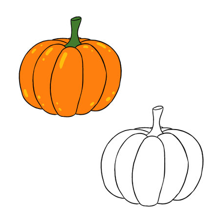 Illustration of color pumpkin vegetable and outline. Perfect for practicing coloring, drawing, printing, wallpaper, prints, cards, etc.の写真素材