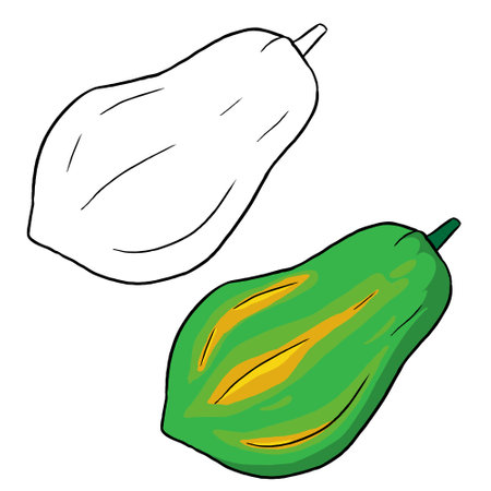 Papaya vector illustrations. Perfect for art, postcards, cards, wall decor, t-shirts, cards, prints, drawing books, coloring books, wallpaper, prints, cards, ect.の写真素材