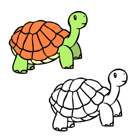 Turtle vector illustration of colored and outlines. Perfect for art, postcards, cards, wall decor, t-shirts, cards, prints, drawing books, coloring books, wallpaper, prints, cards,の写真素材