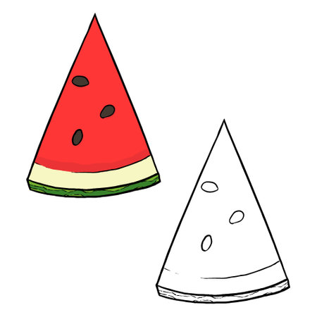Slice watermelon illustration. Perfect for art, postcards, cards, wall decor, t-shirts, cards, prints, drawing books, coloring books, wallpaper, prints, cards, ect.の写真素材