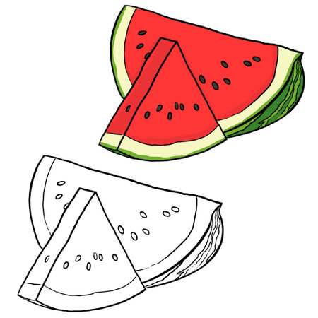 Half watermelon illustration. Perfect for art, postcards, cards, wall decor, t-shirts, cards, prints, drawing books, coloring books, wallpaper, prints, cards, ect.の写真素材