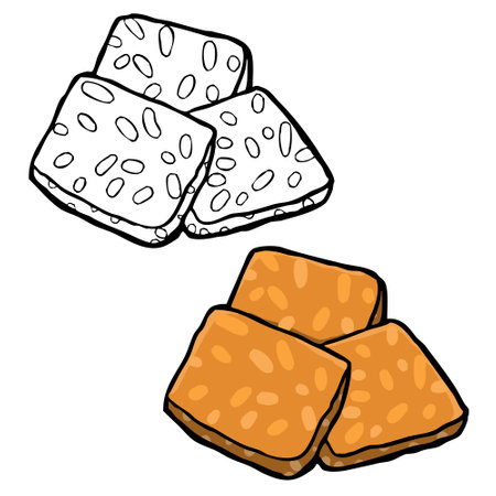 The vector illustration of fried tempeh is very perfect for art, postcards, cards, wall decor, t-shirts, cards, prints, drawing books, coloring books, wallpaper, prints.の写真素材