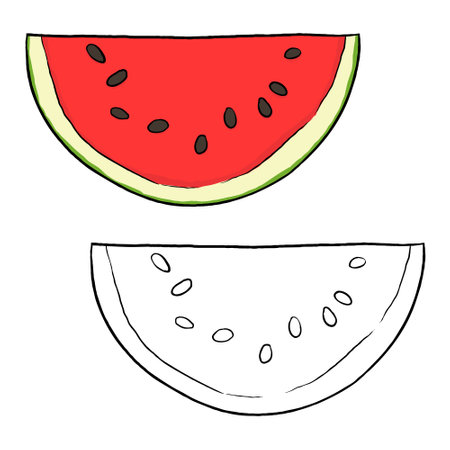 Half watermelon illustration. Perfect for art, postcards, cards, wall decor, t-shirts, cards, prints, drawing books, coloring books, wallpaper, prints, cards, ect.の写真素材