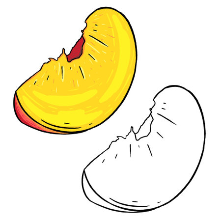 Peach pattern on a light brown background. Perfect for printing, wallpaper, prints, cards, etc.の写真素材