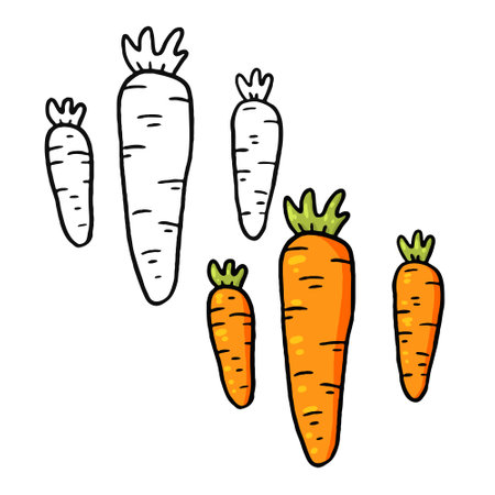 Big tri Carrot vector illustration with outline. Perfect for coloring practice, drawing practice, print, wallpaper, packaging paper design, textile, etc.の写真素材