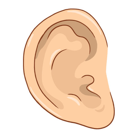 illustration of the human ear. Head vector illustration. Perfect for art, postcards, cards, wall decor, t-shirts, cards, prints, drawing books, coloring books, wallpaper, prints, cの写真素材