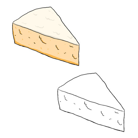 Cheesecake triangle slice. Perfect for practicing coloring, drawing, printing, wallpaper, prints, cards, etc.の写真素材