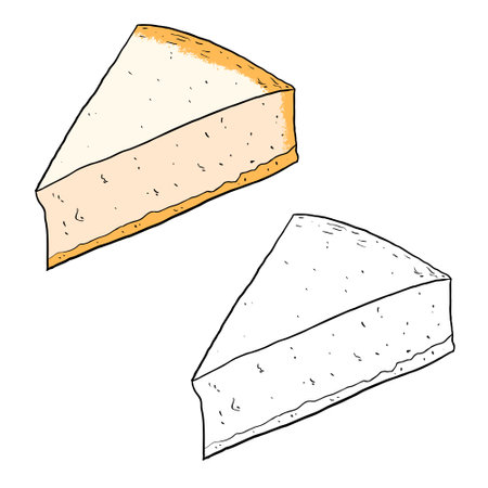 Cheesecake triangle slice. Perfect for practicing coloring, drawing, printing, wallpaper, prints, cards, etc.の写真素材