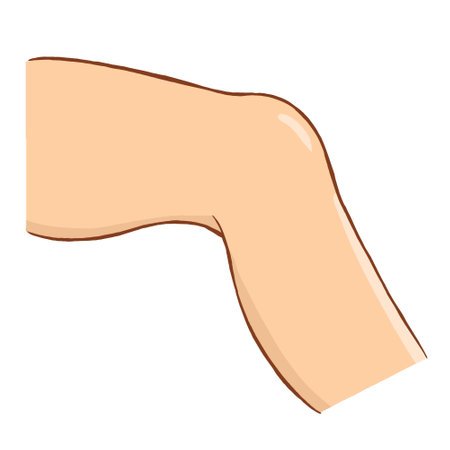 Knee vector illustration, perfect for art, postcards, cards, wall decor, t-shirts, cards, prints, drawing books, coloring books, wallpaper, prints, cards, ect.の写真素材