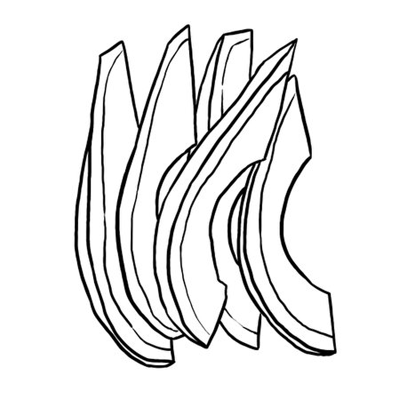Outline vector illustration of sliced avocado. Perfect for practicing coloring, drawing, printing, wallpaper, prints, cards, etc.の写真素材