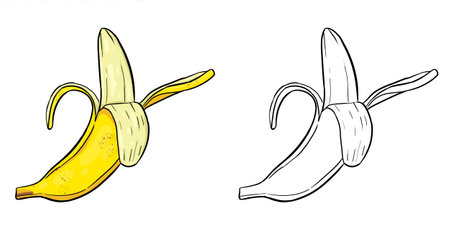 Illustration of peeled banana. Perfect for art, postcards, cards, wall decor, t-shirts, cards, prints, picture books, coloring books, wallpapers, prints, cards, etc.の写真素材