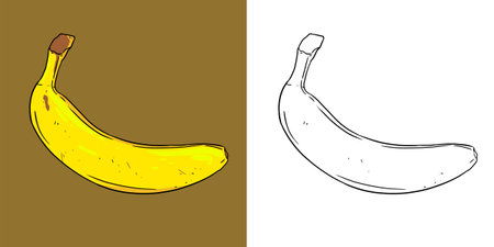 Bananas illustration. Perfect for art, postcards, cards, wall decor, t-shirts, cards, prints, picture books, coloring books, wallpapers, prints, cards, etc.の写真素材