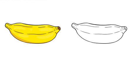 Banana. Perfect for art, postcards, cards, wall decor, t-shirts, cards, prints, picture books, coloring books, wallpapers, prints, cards, etc.の写真素材