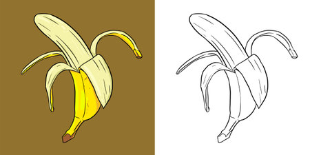 Illustration of peeled banana. Perfect for art, postcards, cards, wall decor, t-shirts, cards, prints, picture books, coloring books, wallpapers, prints, cards, etc.の写真素材