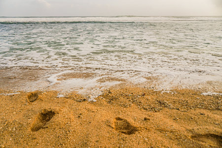 wo footprints were seen on the sand of the beach before being removed by the waves.の写真素材