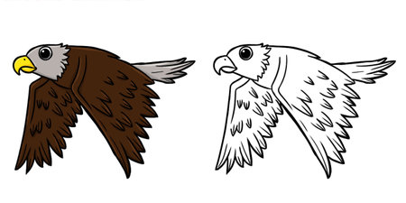 Eagle illustration. Perfect for art, postcards, cards, wall decor, t-shirts, cards, prints, picture books, coloring books, wallpapers, prints, cards, etc.の写真素材