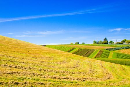 A rural landscape of tree growing farms and ranches.の写真素材
