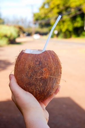 A girl holds out her hand with a coconut and a straw representing a nice cold tropical drink on the north shore of oahu hawaii.の写真素材