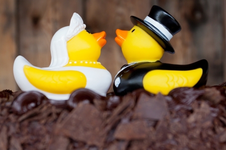 Rubber ducks sit upon chocolate cake as cake toppers at a wedding ceremony and reception の写真素材