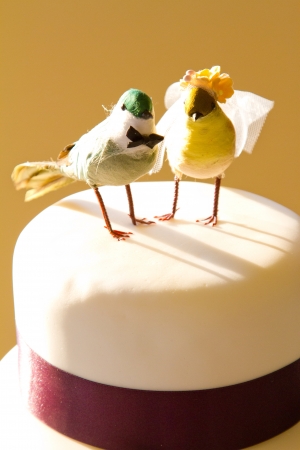 A traditional white wedding cake is topped with craft birds and wrapped in purple ribbon at the bride and groom's reception.の写真素材