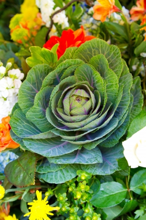A succulent wedding flower in a vase at the ceremony and reception.の写真素材