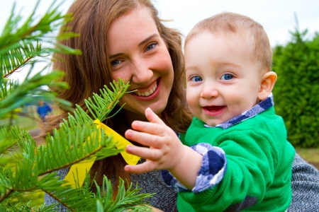 A cute young boy in a green shirt is having fun at a Christmas tree farm in Oregon.の写真素材