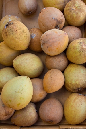 Images from a farmers market in Hawaii showing tropical fruits or vegetables in simple photos with vibrant colors.の写真素材