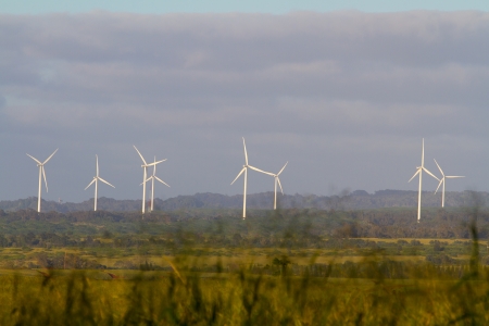 A wind farm on the tropical island of Oahu in Hawaii has multiple wind turbines (or windmills) that...