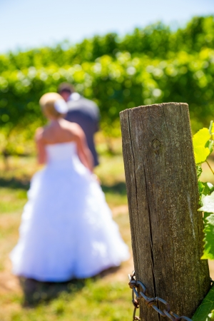 A man and woman share a first look moment as bride and groom outdoors at a winery vineyard in Oregon.の写真素材