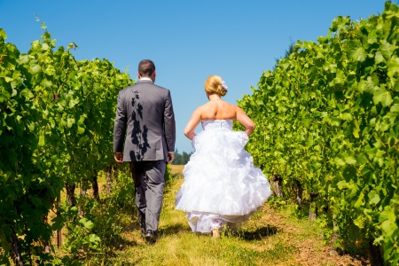 A bride and groom walk away from the camera at a vineyard at a winery in Oregon near portland and mount hood.の写真素材