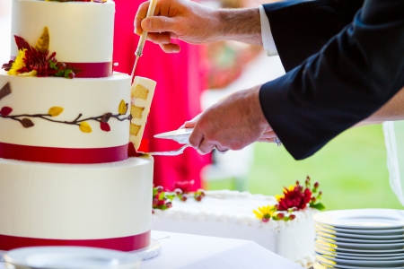 A bride and groom cut the cake together at their wedding reception.