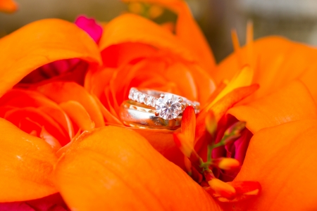 Wedding rings of the bride and groom are placed on flowers for a closeup color image.の写真素材