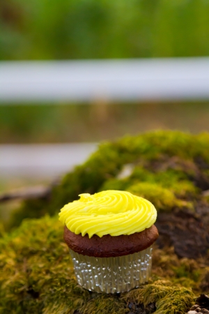 Handmade cupcakes at a wedding reception.の写真素材