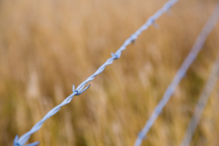 Barb wire country fence in a grass field to keep animals confined to one area.