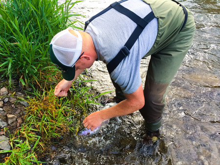 Fly fisherman bringing in and releasing a native redside rainbow trout on the Deschutes River in...