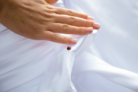Ladybug on the hand of a bride on her wedding day is a sign of good luck and fortune.の写真素材
