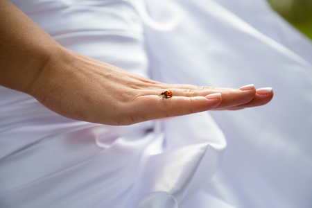 Ladybug on the hand of a bride on her wedding day is a sign of good luck and fortune.の写真素材