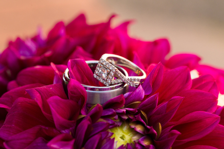 Flowers create the backdrop for a birde and groom wedding ring closeup shot.の写真素材