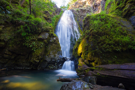 Susan Creek Falls in the Umpqua National Forest. This waterfall is quite large and easily accessible.の写真素材