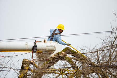 SPRINGFIELD, OR - FEBRUARY 16, 2016: Utility worker trimming a tree for power line access in Springfield Oregon.のeditorial素材